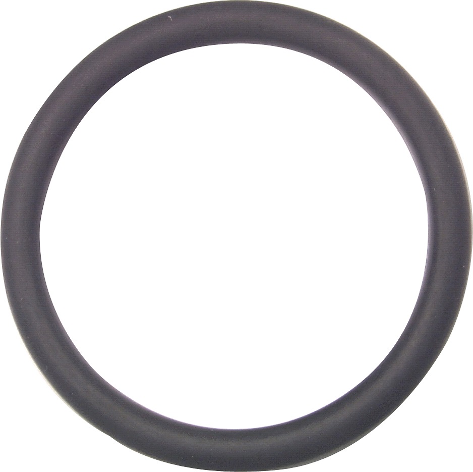 749.410.006 GF FKM O-RING 20 mm